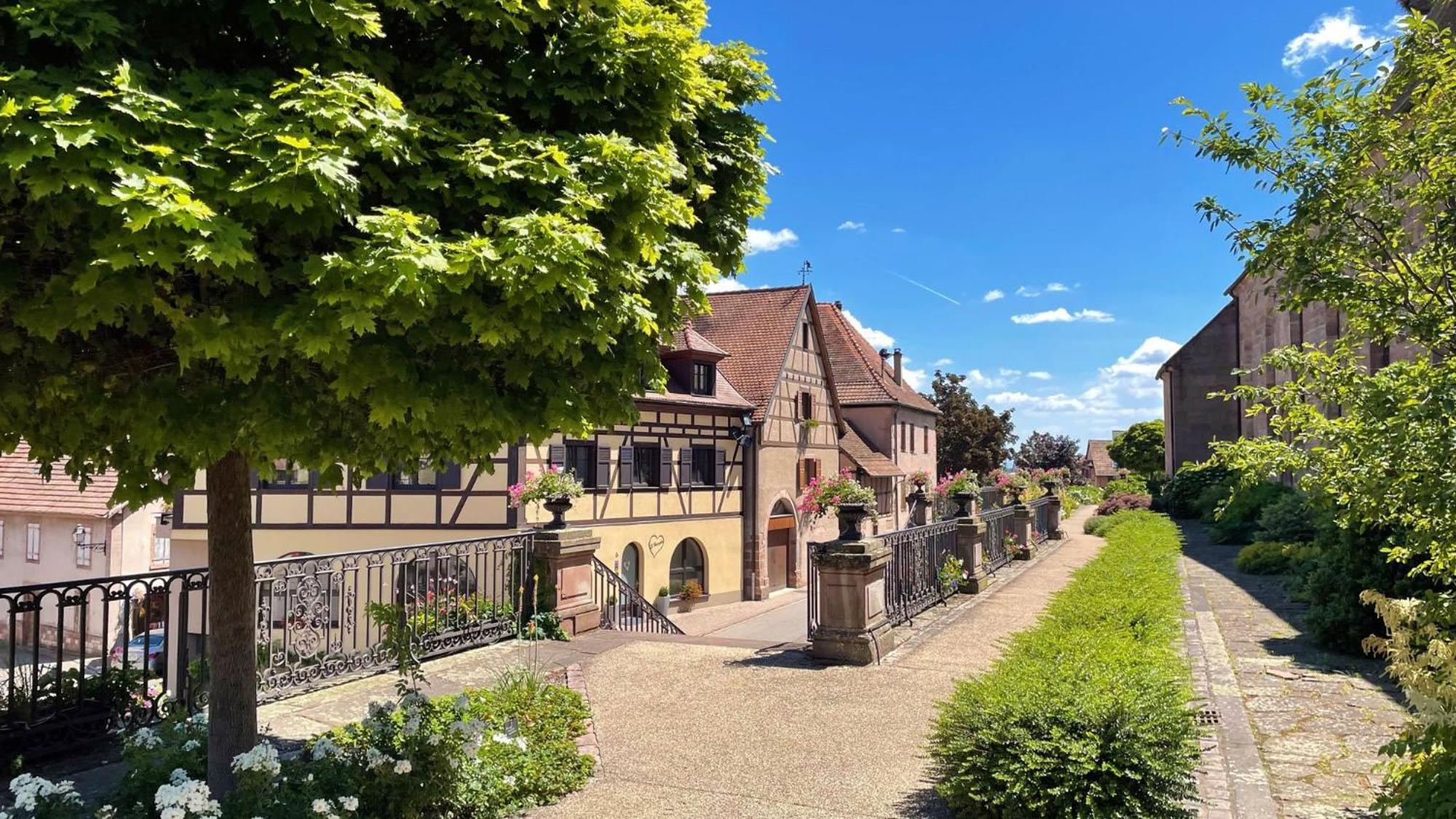 ברגהיים Appartements Duplex 3 Et 4 Personnes - Climatisation - Village Elu Parmi Les "Plus Beaux Villages De France" - Route Des Vins - Centre Alsace מראה חיצוני תמונה