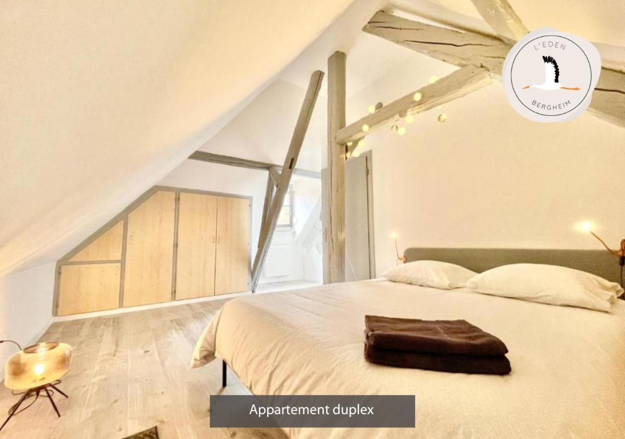 ברגהיים Appartements Duplex 3 Et 4 Personnes - Climatisation - Village Elu Parmi Les "Plus Beaux Villages De France" - Route Des Vins - Centre Alsace מראה חיצוני תמונה