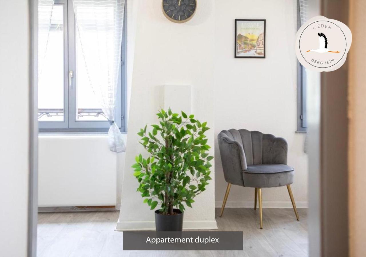 ברגהיים Appartements Duplex 3 Et 4 Personnes - Climatisation - Village Elu Parmi Les "Plus Beaux Villages De France" - Route Des Vins - Centre Alsace מראה חיצוני תמונה