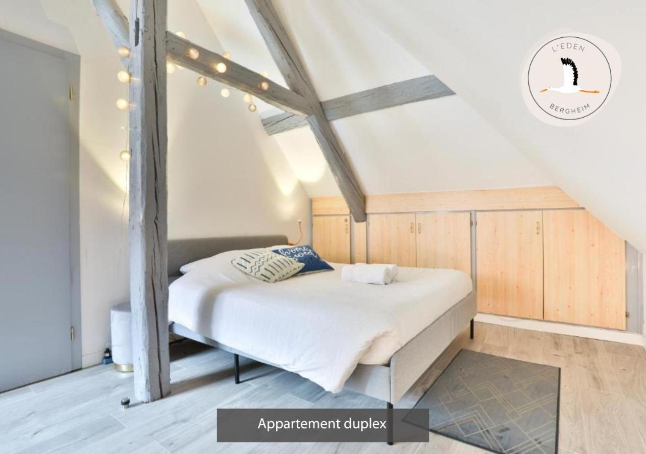 ברגהיים Appartements Duplex 3 Et 4 Personnes - Climatisation - Village Elu Parmi Les "Plus Beaux Villages De France" - Route Des Vins - Centre Alsace מראה חיצוני תמונה
